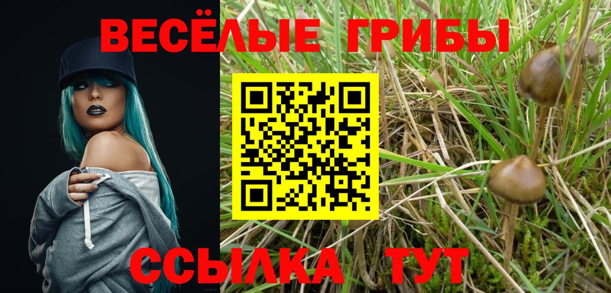 Псилоцибиновые грибы GOLDEN TEACHER Ипатово