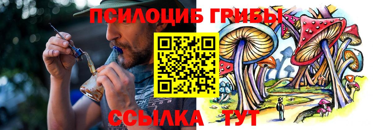 Галлюциногенные грибы Psilocybe  Вход с VPN  сколько стоит  Ипатово 